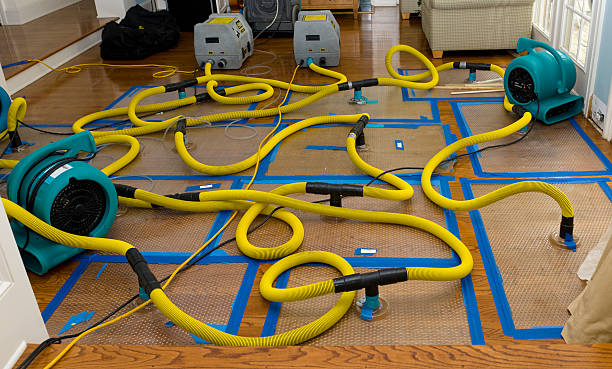 Professional Water Extraction technician working in Brohman, MI